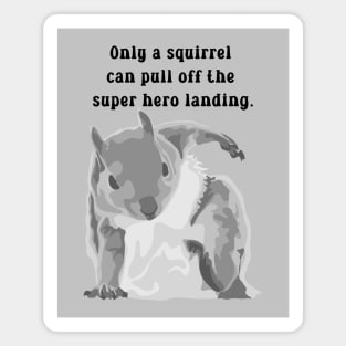 Super Squirrel Magnet